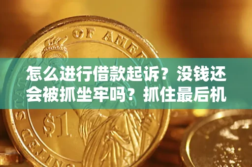 济南怎么进行借款起诉？没钱还会被抓坐牢吗？抓住最后机会！