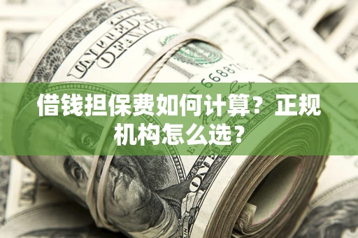 济南借钱担保费如何计算？正规机构怎么选？