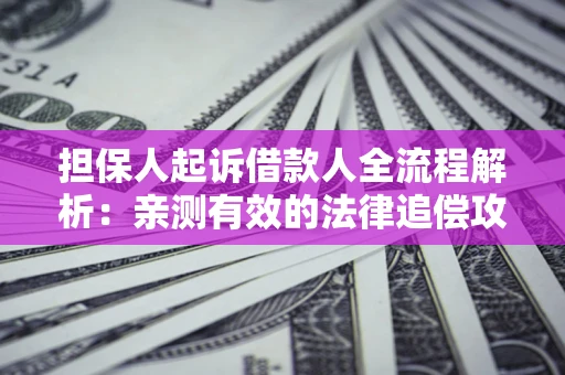 济南担保人起诉借款人全流程解析：亲测有效的法律追偿攻略
