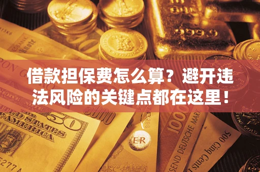 济南借款担保费怎么算？避开违法风险的关键点都在这里！