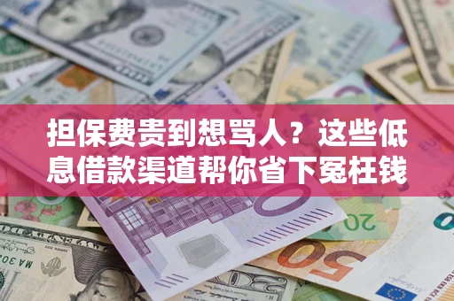 济南担保费贵到想骂人？这些低息借款渠道帮你省下冤枉钱