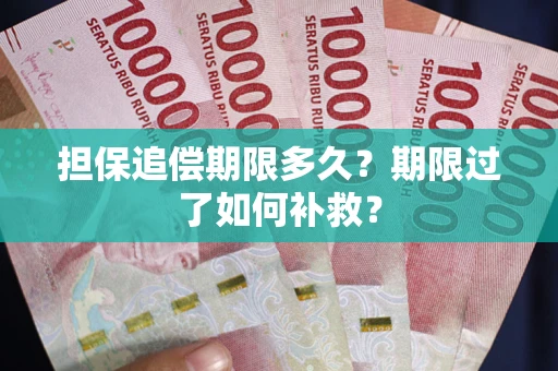 济南担保追偿期限多久？期限过了如何补救？