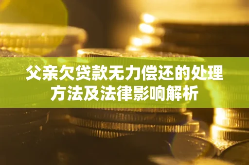 济南父亲欠贷款无力偿还的处理方法及法律影响解析